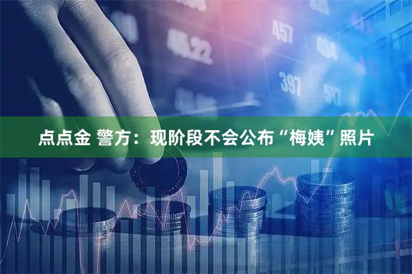 点点金 警方：现阶段不会公布“梅姨”照片